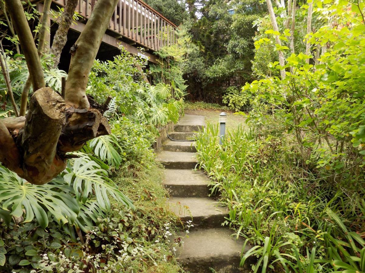 קניסנה Protea Guest House מראה חיצוני תמונה