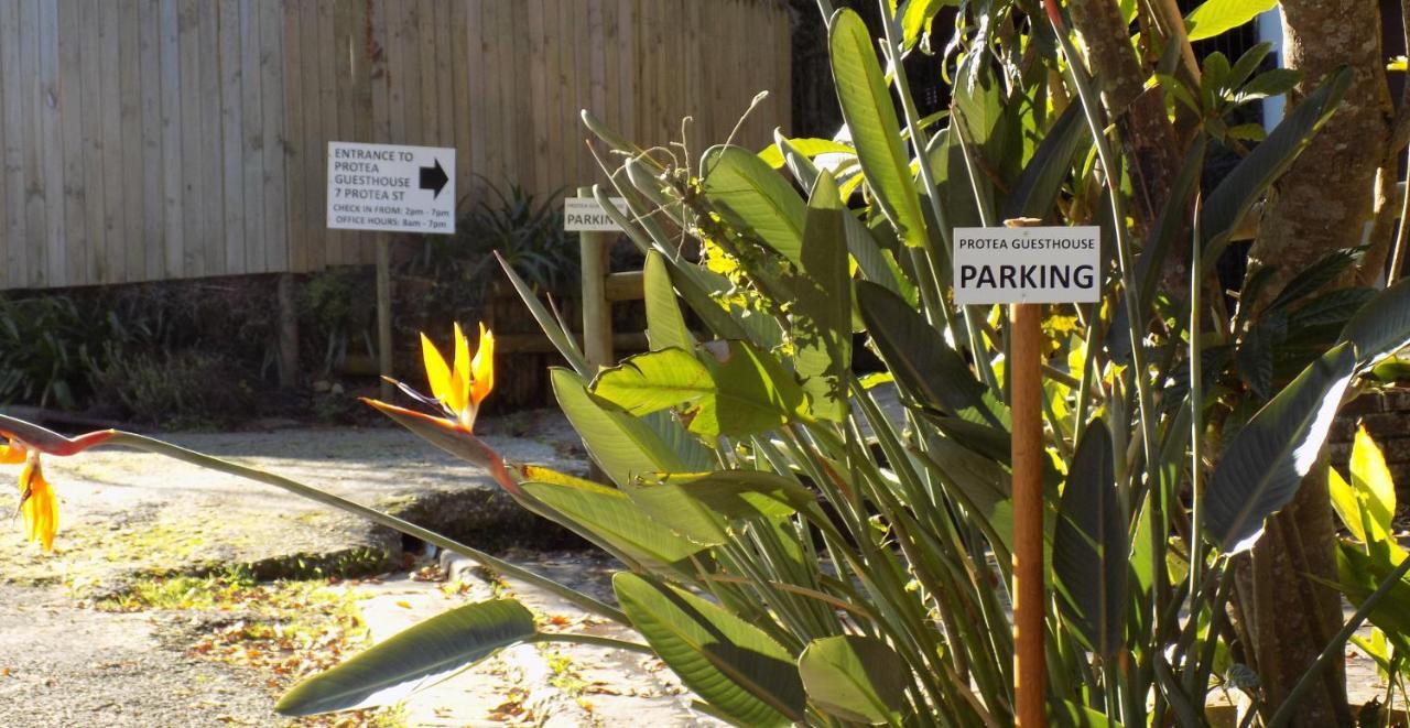 קניסנה Protea Guest House מראה חיצוני תמונה